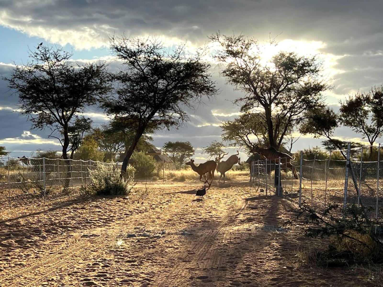 West Nest Lodge Gobabis Exterior foto